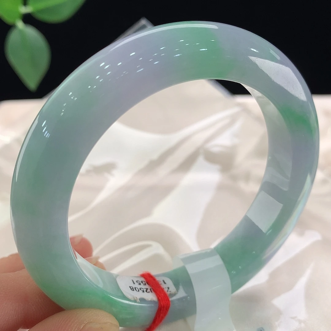 未镶嵌手镯翡翠0551