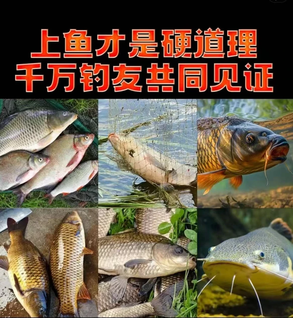 主播同款饵料【拍一发12包】黑坑江河胡泊通用