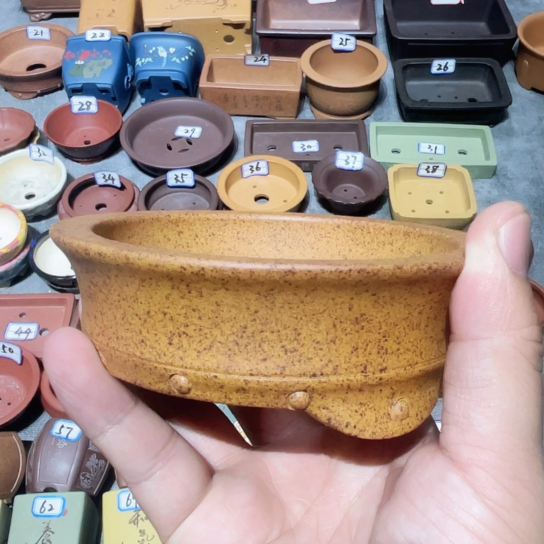 紫砂小盆9.5*2.5cmmm