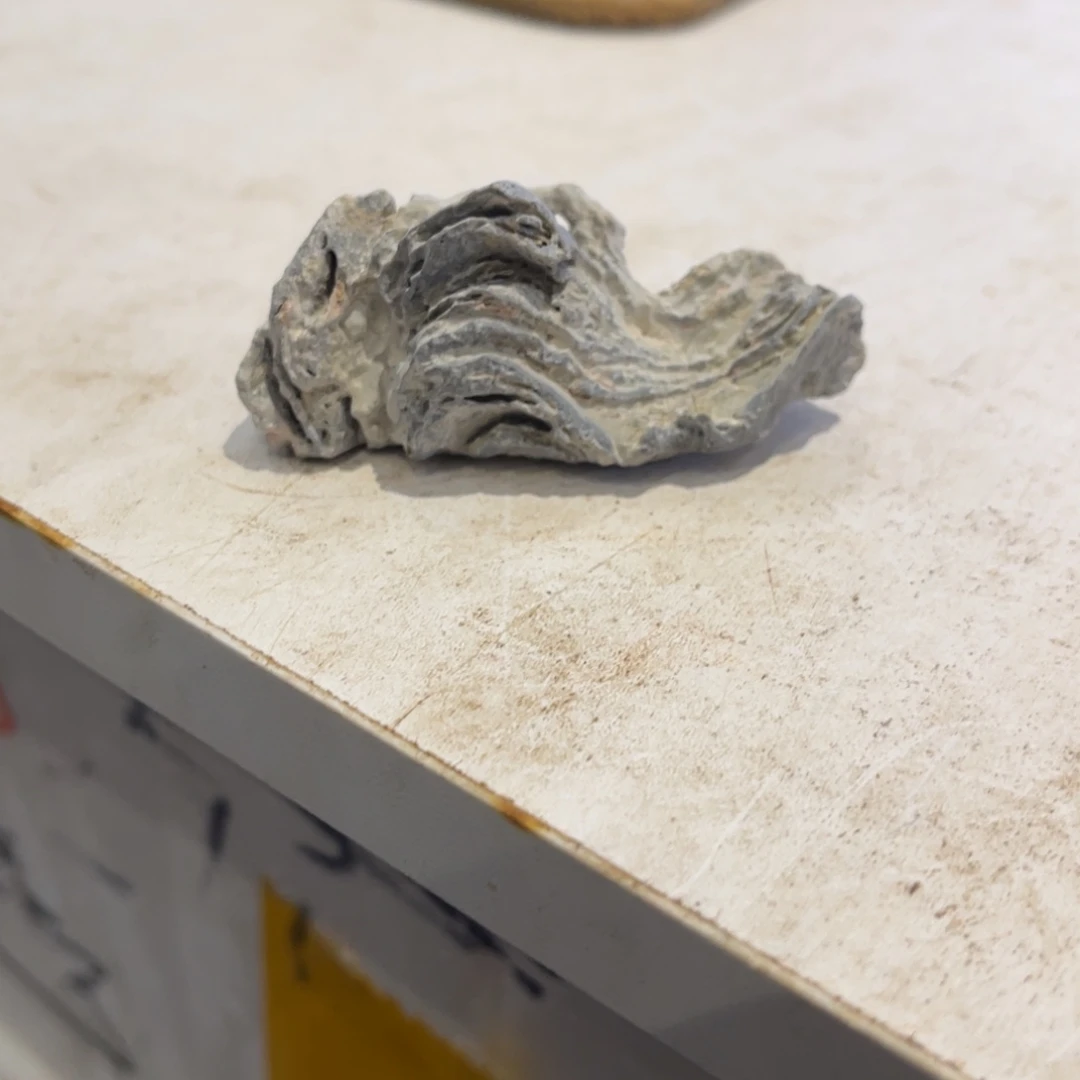 红***外石材全场观众起立的人