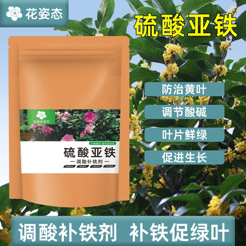 大袋装【硫酸亚铁花肥】桂花树肥料专用肥土壤调酸剂叶子发黄掉叶