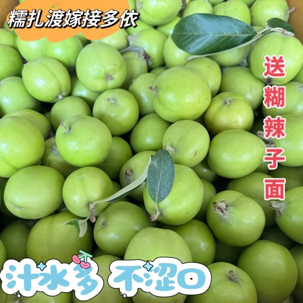 云南特产糯扎渡嫁接多依新鲜采摘渣子果孕妇酸水果送糊辣子面