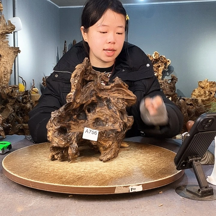 茶盏亮**⁹756株木底座随行根艺