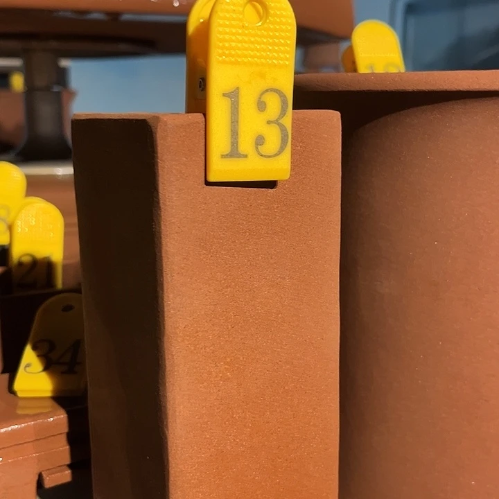 贝壳手串/手链签筒福利