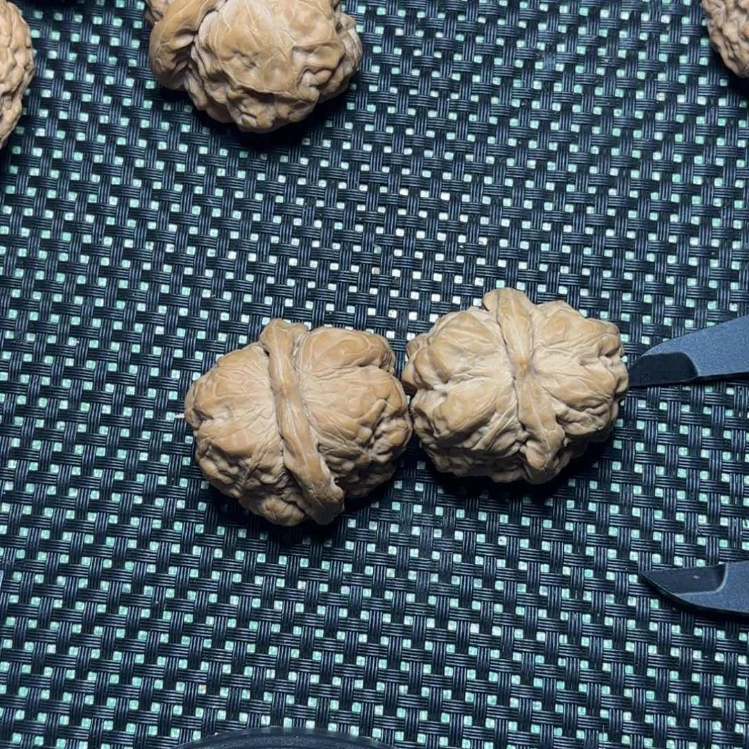 文玩核桃把件A***川嘛时候我可以不这么任性不