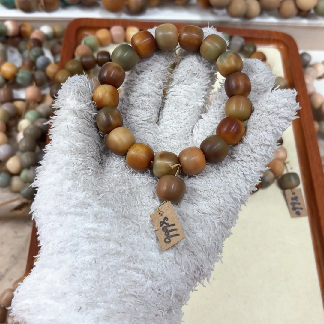 菩提根/象牙果吊坠树**歌8666卡14桶珠