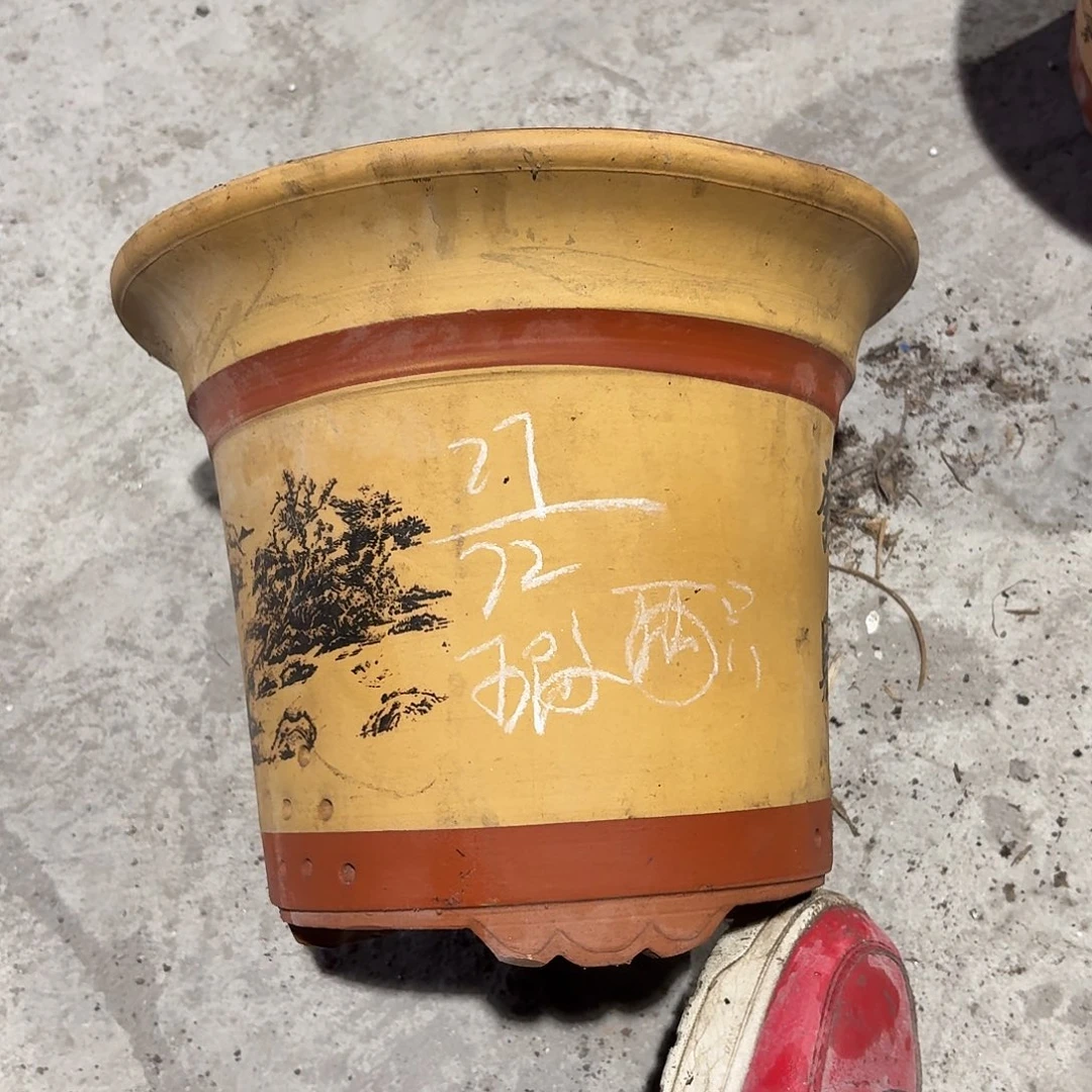 宜兴紫砂花盆，现货发