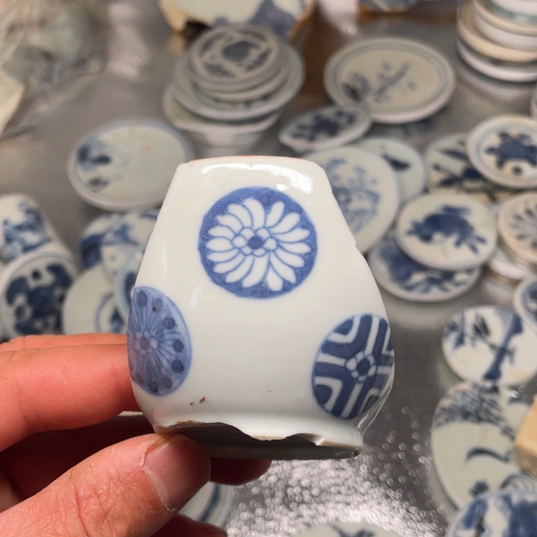 瓷片瓷片瓷片瓷片标本