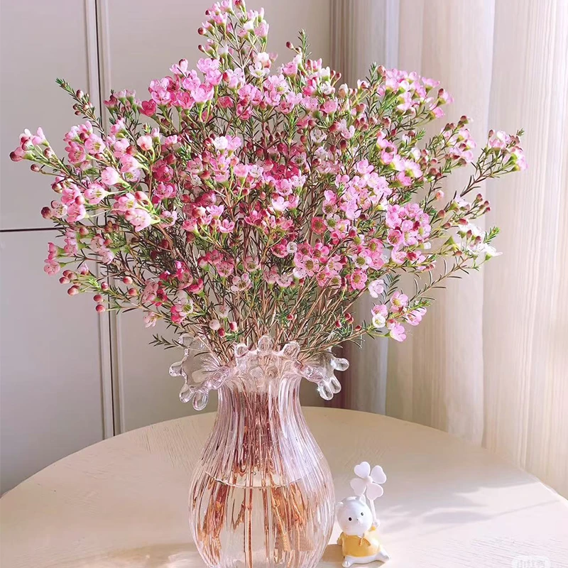 澳洲腊梅盆栽花卉云南基地直发鲜切花花束花瓶摆件客厅年宵花鲜花