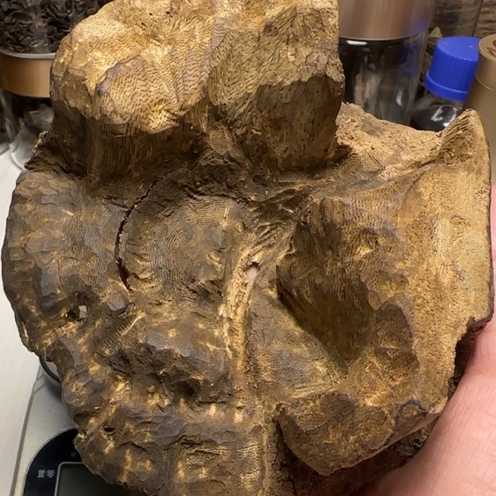 木福*奇楠天然野包头老料95克