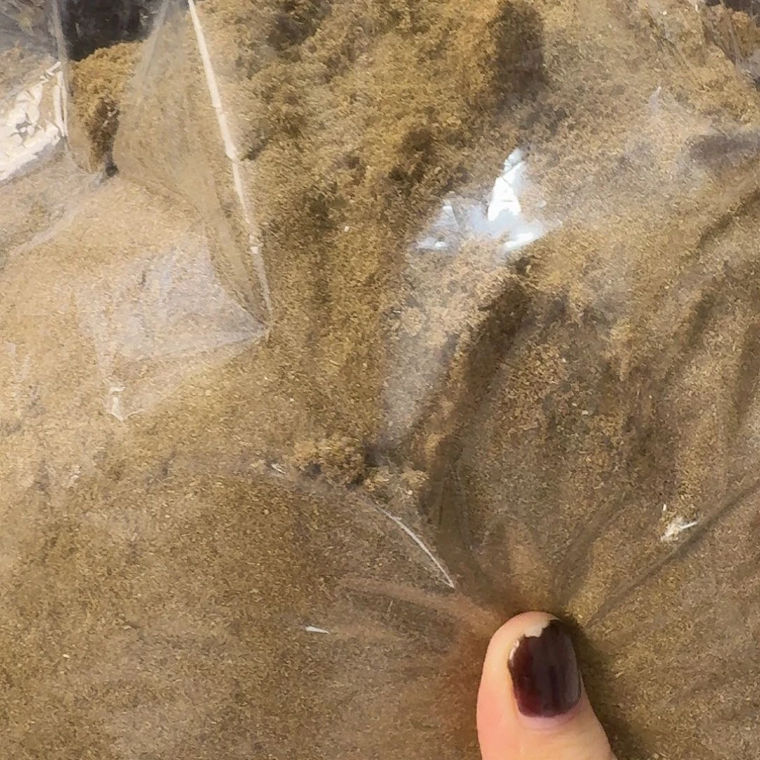 金沙叶留疤粉50克