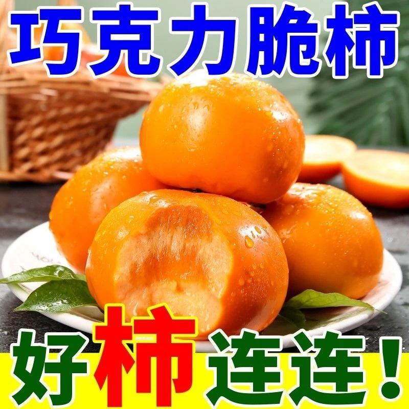【涩果包赔】山西运城脆甜巧克力脆柿新鲜现摘现发阳丰脆柿子新鲜水