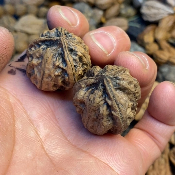 吊坠桃核娜姐你真的127