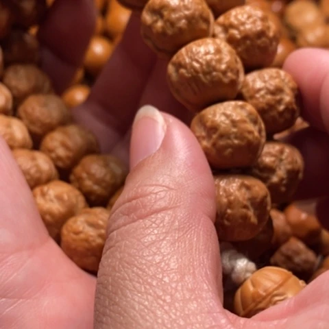 【闪购商品】猴头核桃手串p*l产品