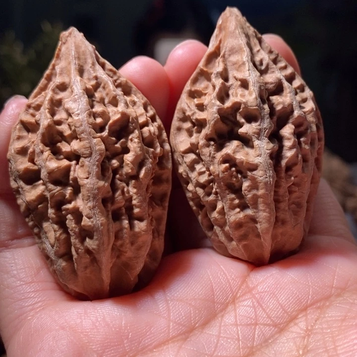 把件文玩核桃东北楸子小路 561