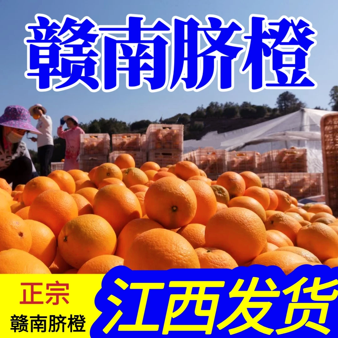 正宗江西赣南脐橙 新鲜应季水果现摘现发产地直发