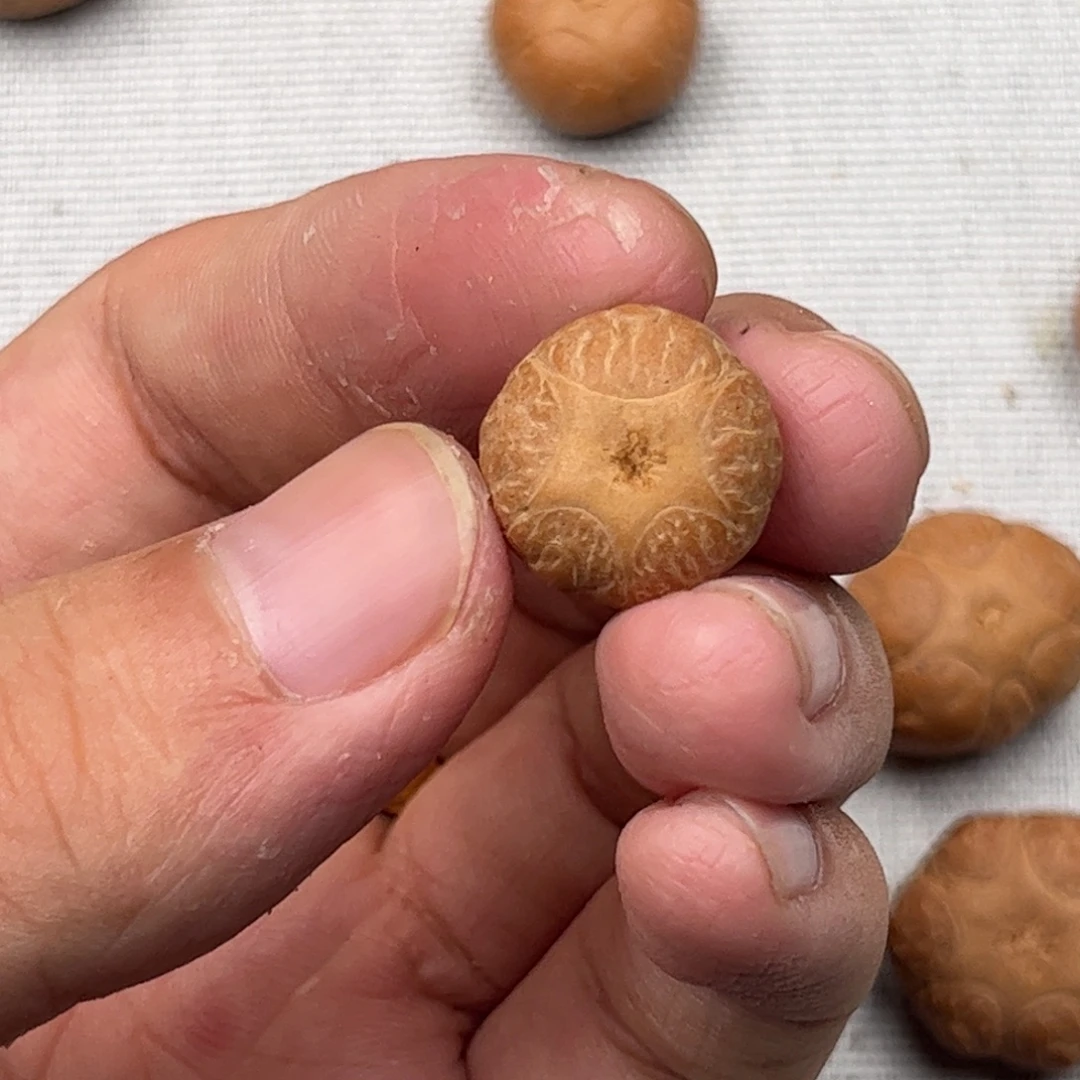 吊坠凤眼菩提15.5五星