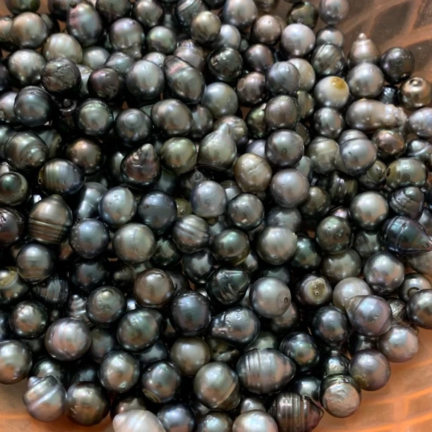 海水珍珠大溪地裸珠多样性拍一 10mm