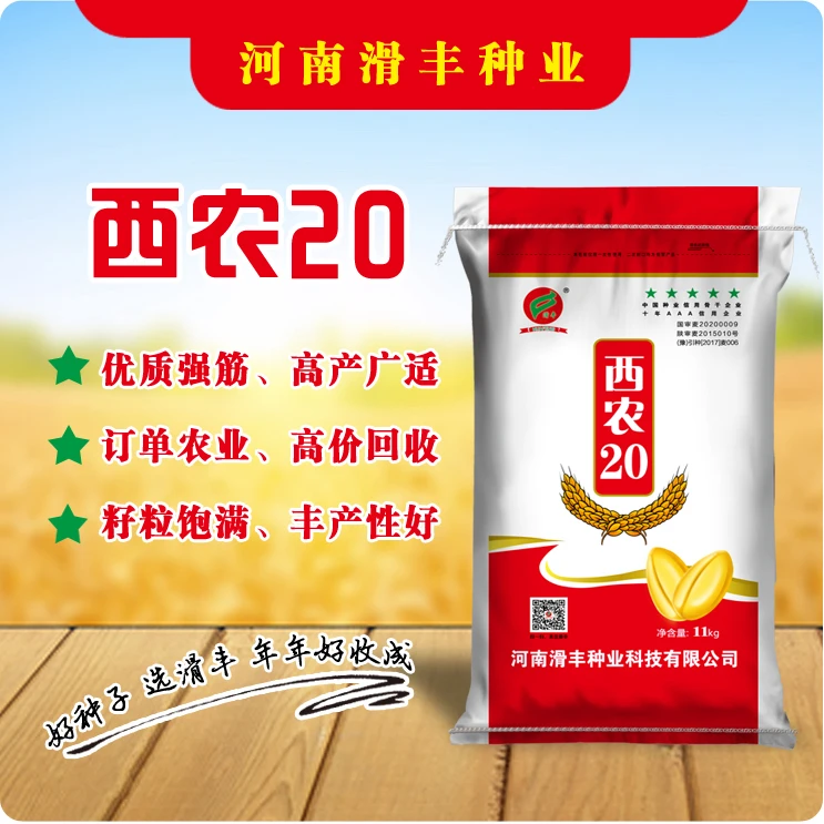 优质高产，深受粮食收储企业和广大农户喜欢