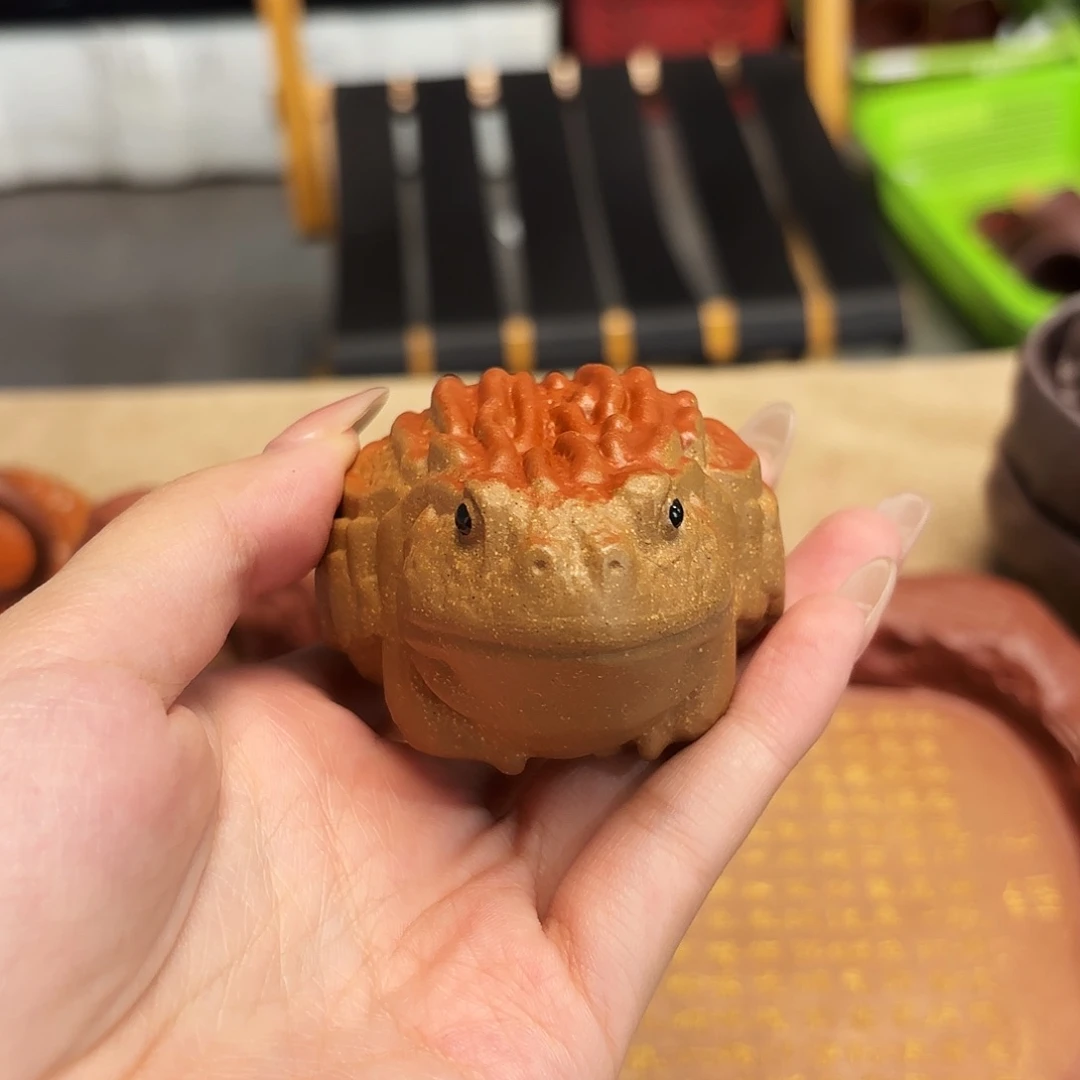 紫砂五号店专项负责人