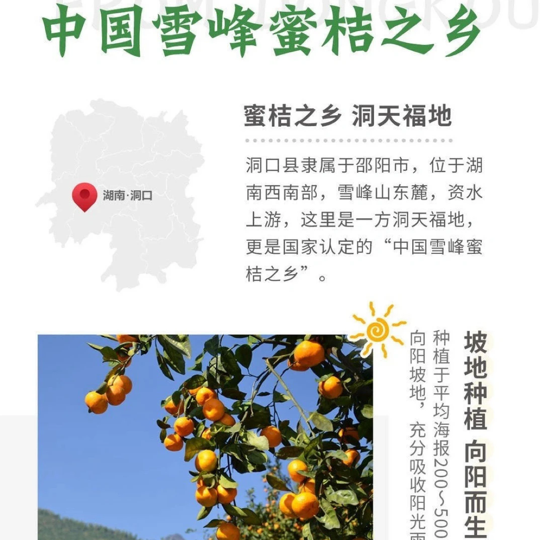 应季新鲜皮薄无打蜡高山橘子产地直发洞口雪峰蜜橘现摘现发