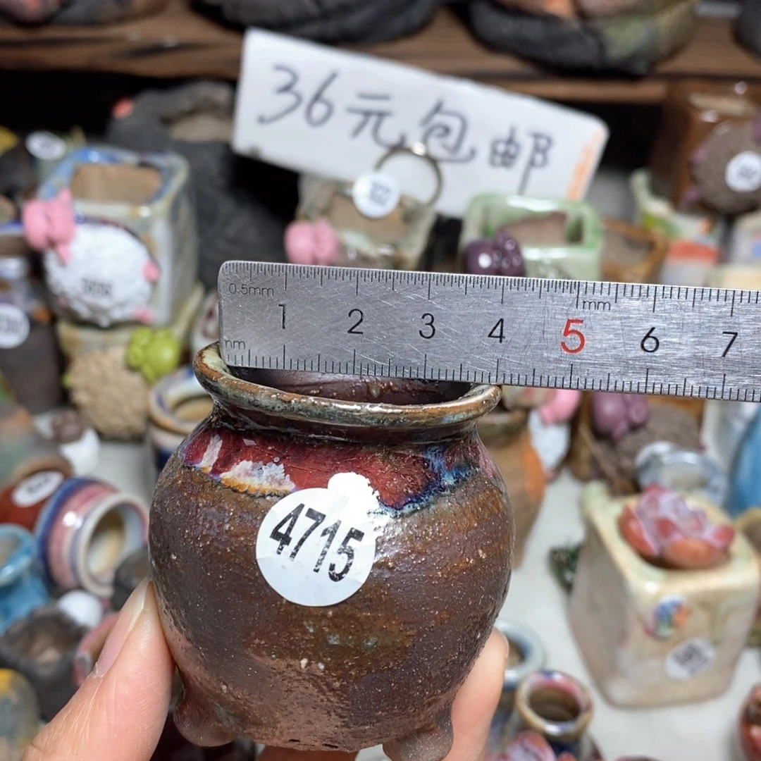 拍5送一个小礼物