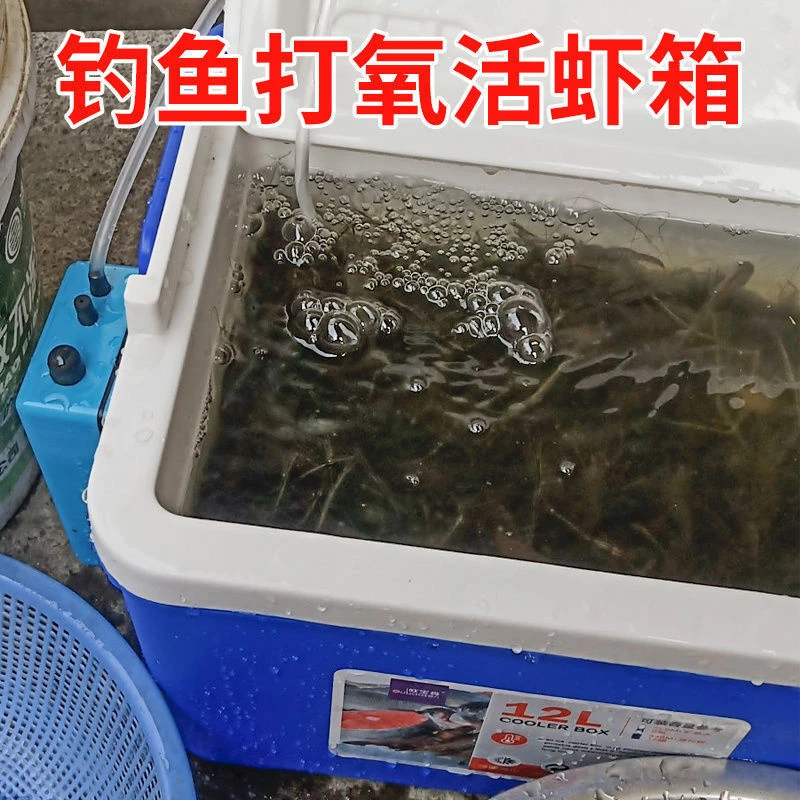 钓鱼桶虾箱带增氧泵养虾小箱活饵活虾箱小型鱼箱氧气泵鱼小钓箱