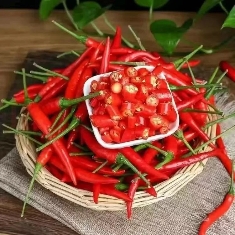 新鲜小米辣加在购物车