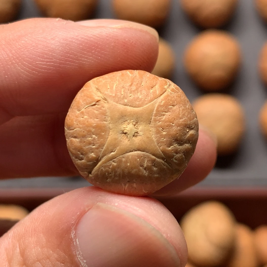 凤眼菩提吊坠18.9mm尼泊尔麒麟，打孔直播间和我说