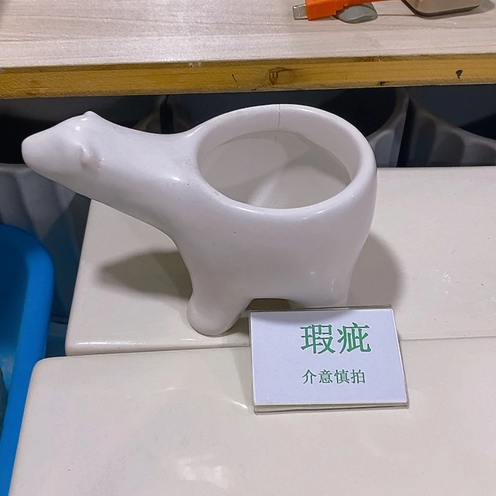 摆件多肉瑕疵盆有孔。