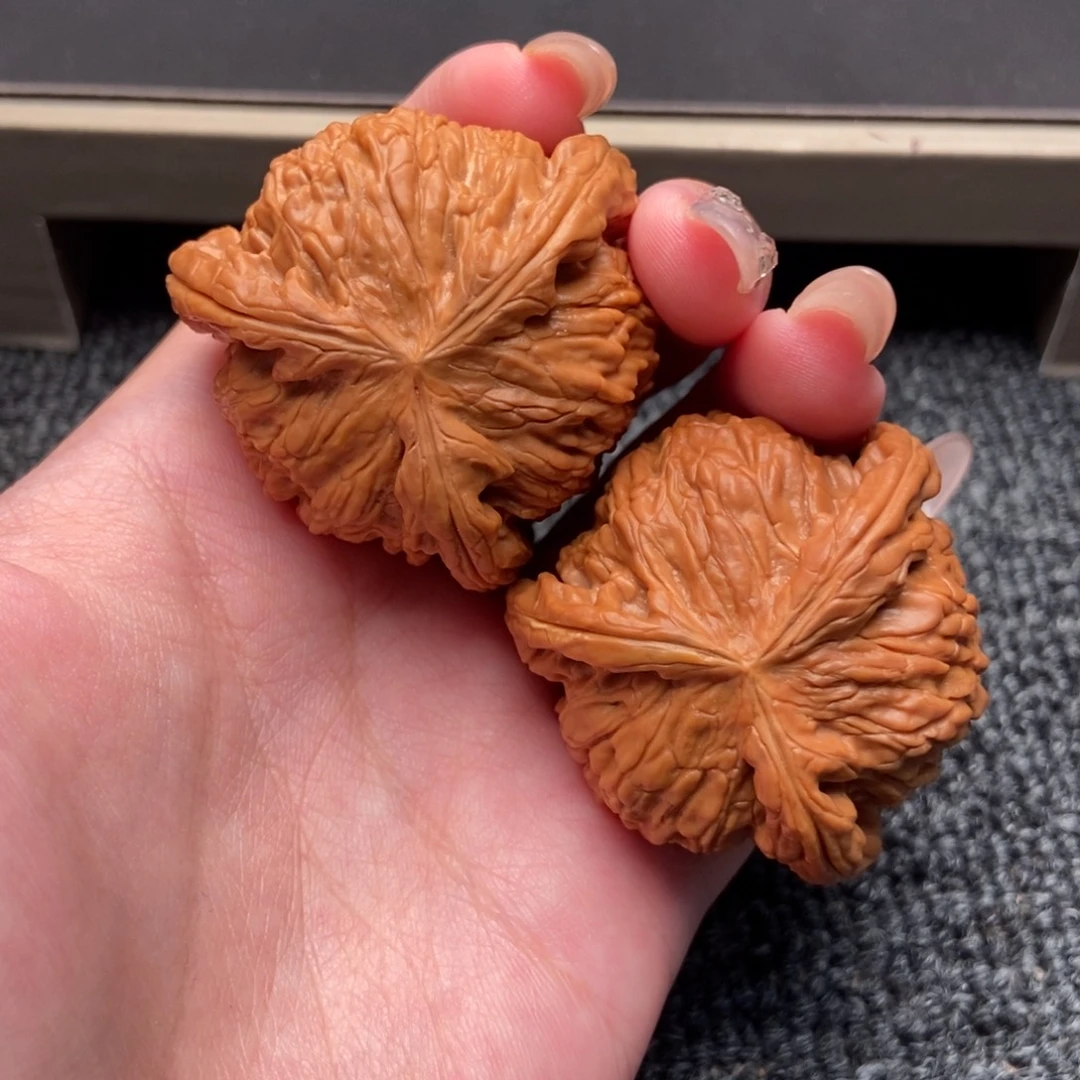 木质类白狮子正奔