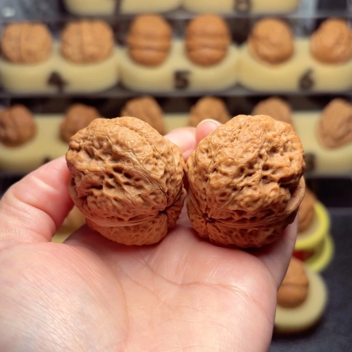 熬***阳把件文玩核桃巨石蟾王