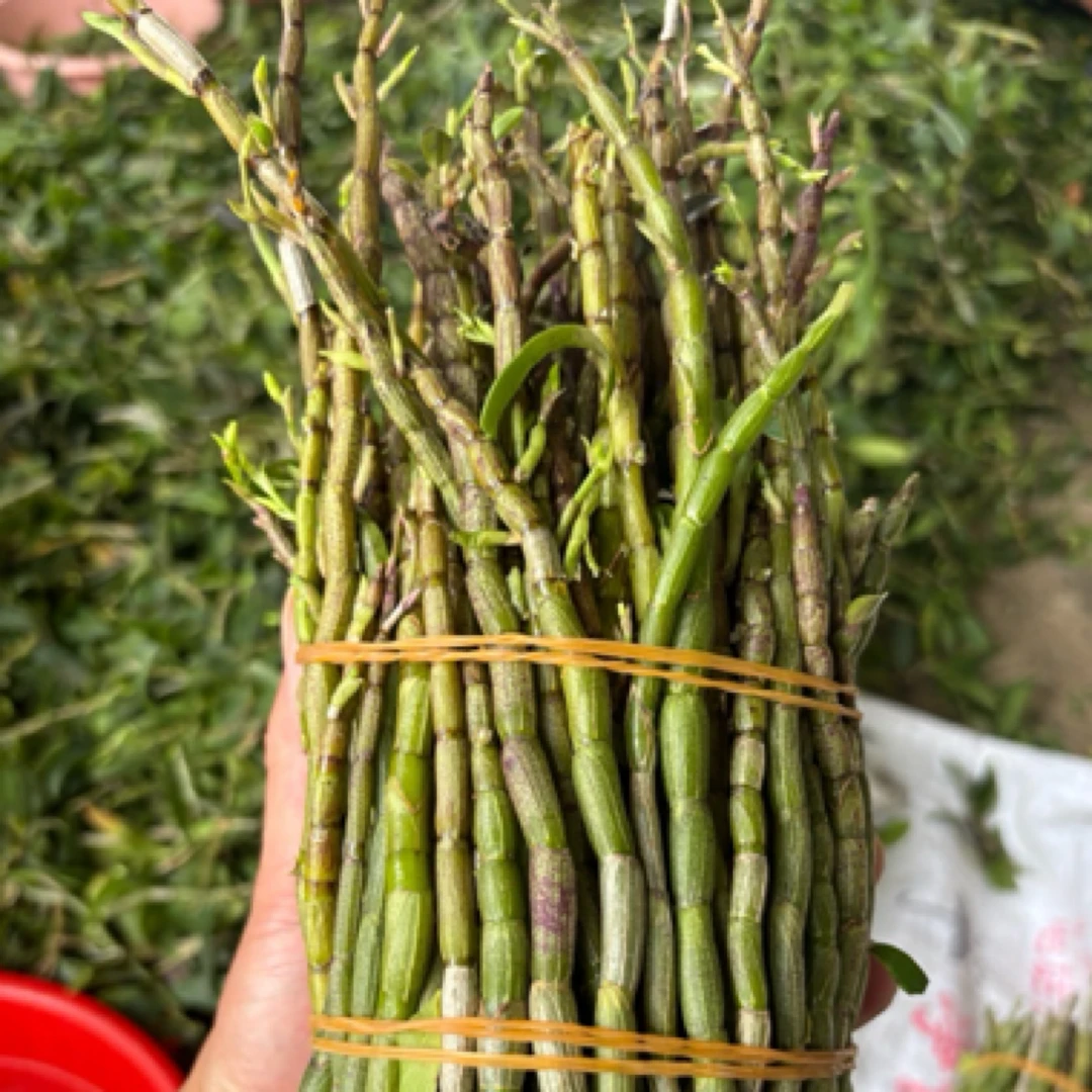 石 石斛新鲜煲汤伴侣，九仙草首