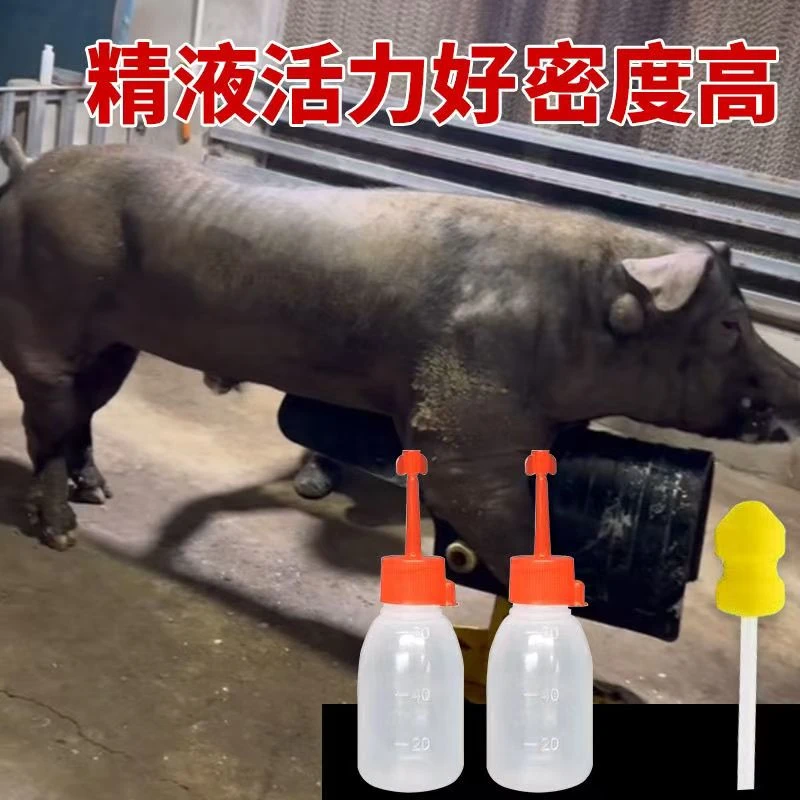 大规格种公精液瓶一件包邮 包对版生态养殖批发输精管猪用耗材