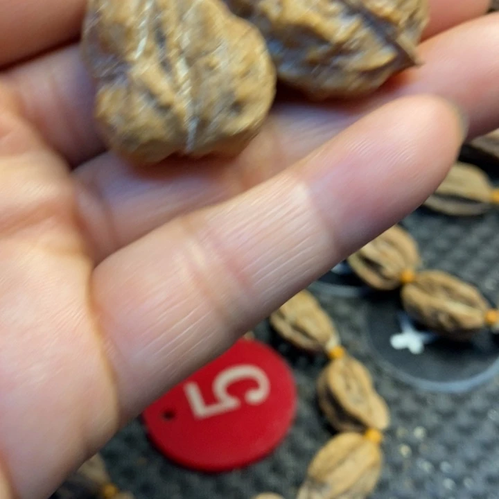 吊坠文玩核桃娜姐62