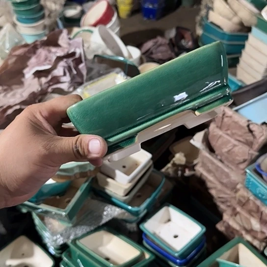 我想说什么都没有错呢还是