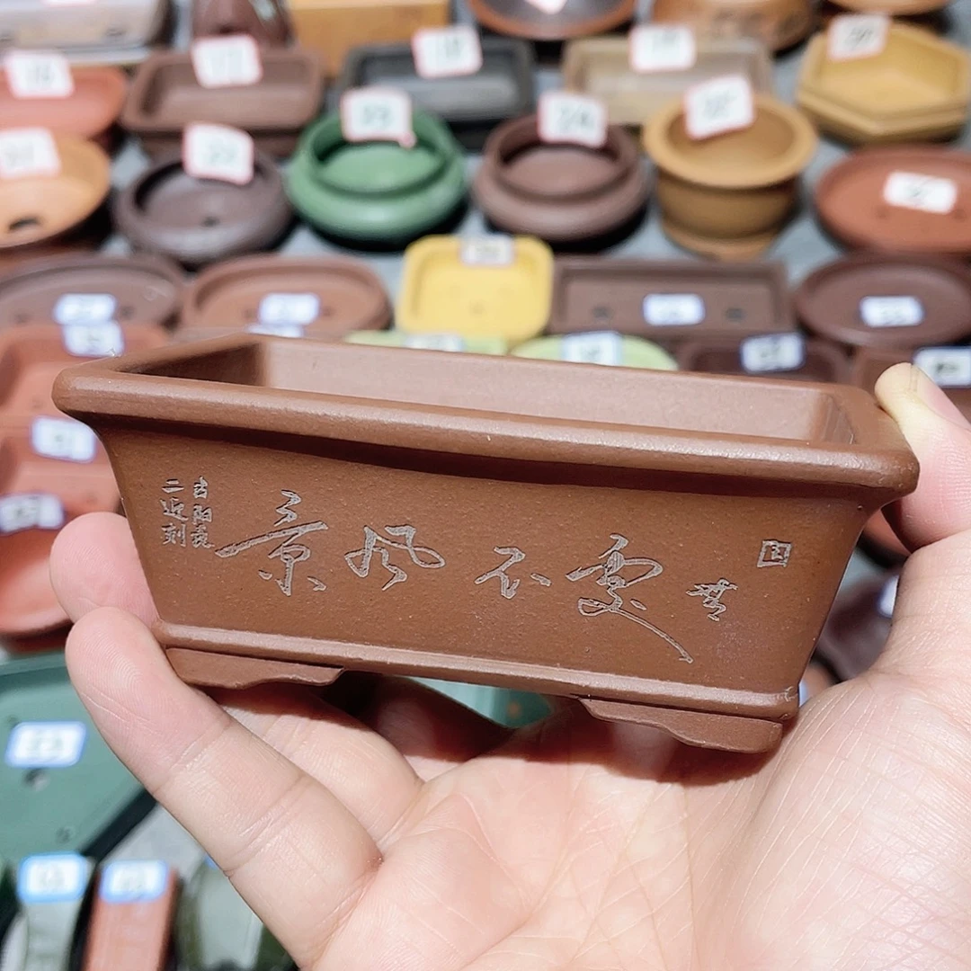 紫砂小盆10*6.5*3.5