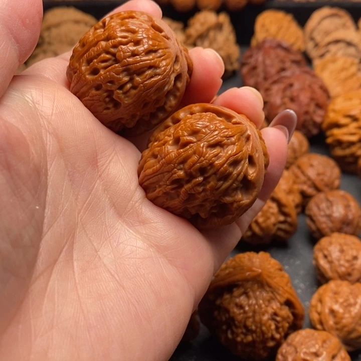 秦岭野生111111111