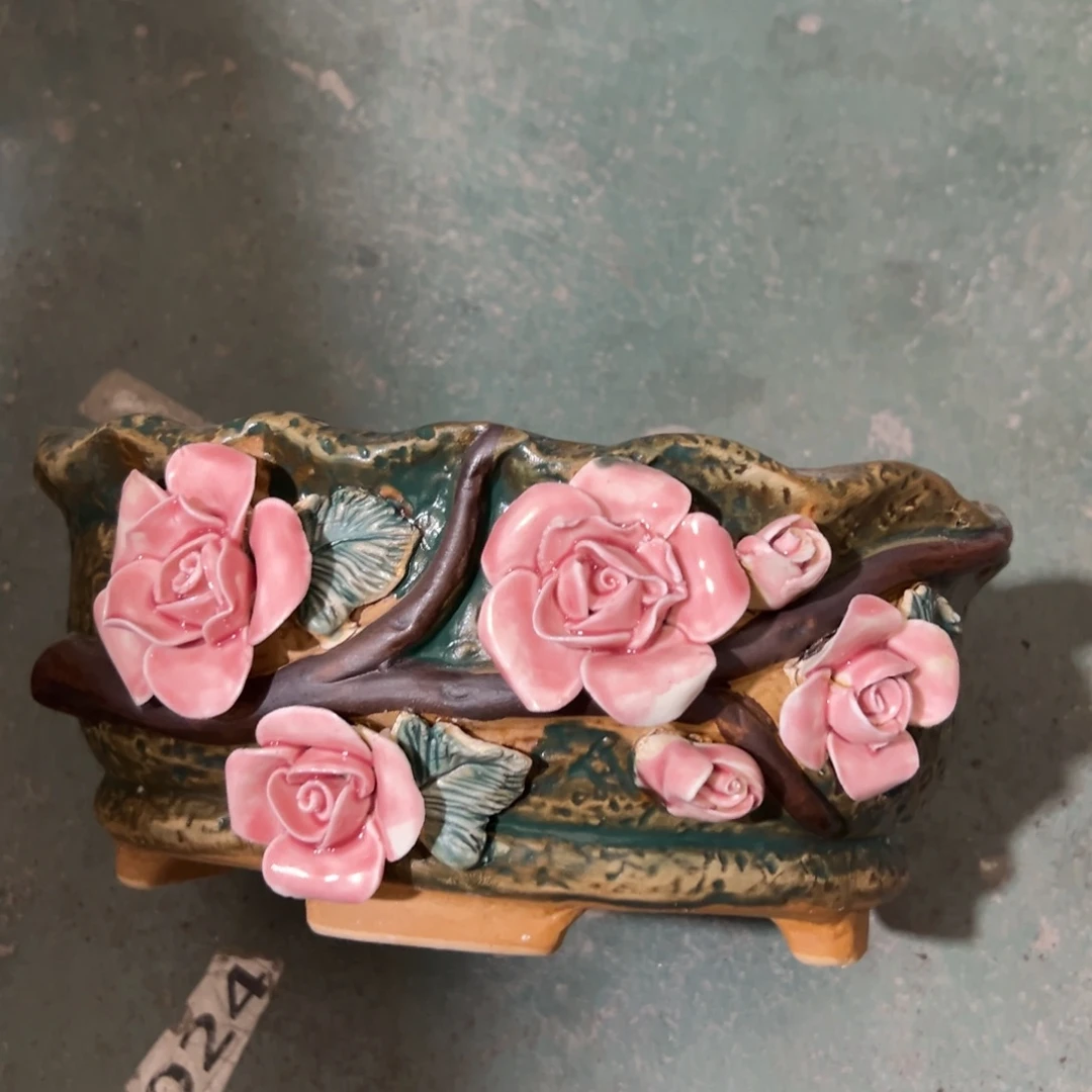 花盆拍满20发货退款拉黑