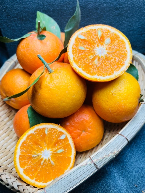 边城精选—沃柑橘