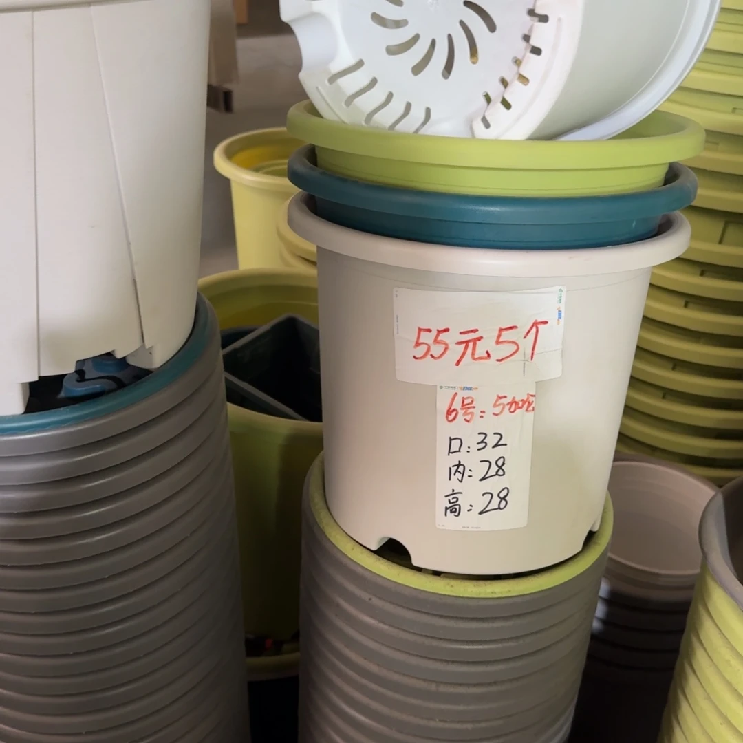 四季6#口径32无拖果绿5个