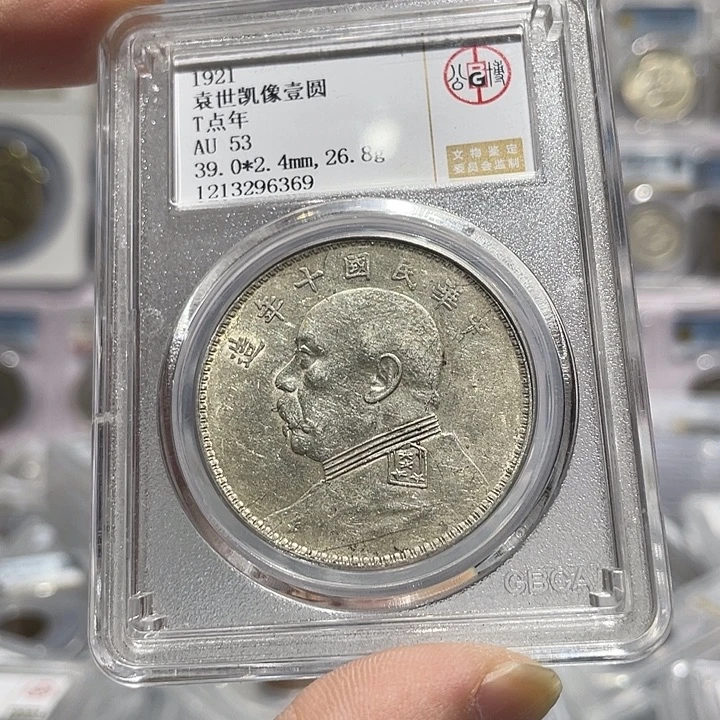 打***人银如图所示的是一个