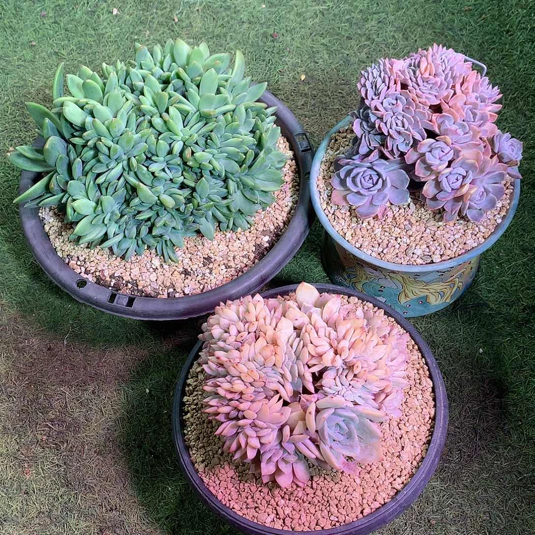 ****哈哈哈哈哈哈哈哈哈哈哈哈哈哈