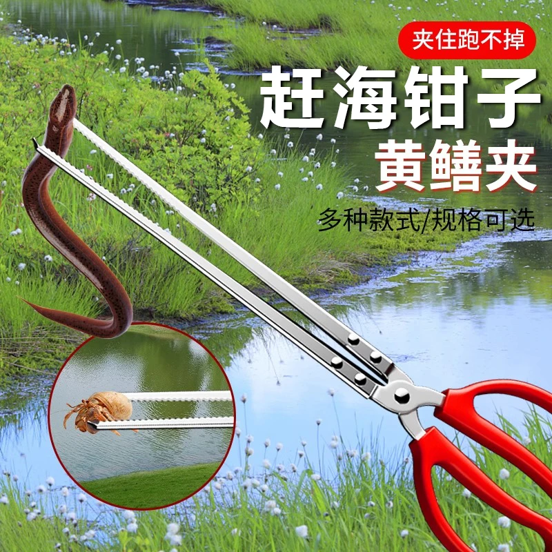 赶海夹子不锈钢夹螃蟹龙虾工具泥鳅黄鳝夹防滑赶海好物火钳垃圾夹