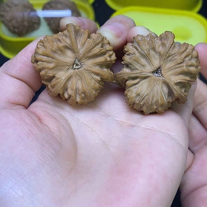 文玩核桃吊坠文玩文山正奔1号