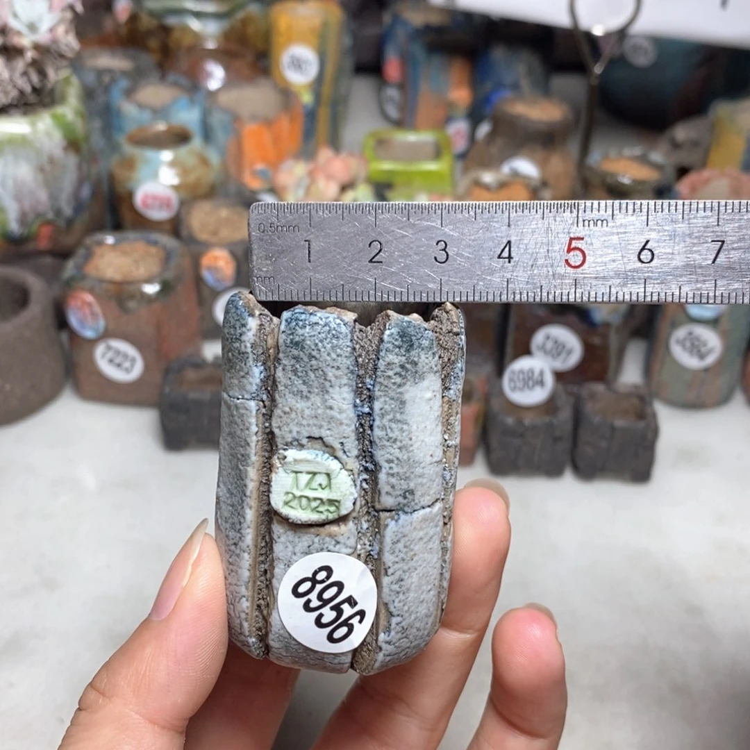 拍3送一个小礼物