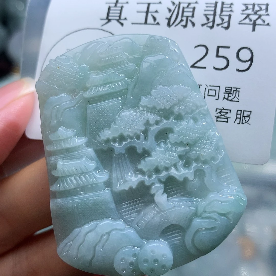 翡翠未镶嵌颈饰259