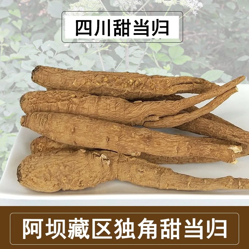 现收山货土当归  藏当归 炖汤炖鸡 煮水 煮鸡蛋 炖猪蹄炖排骨很香