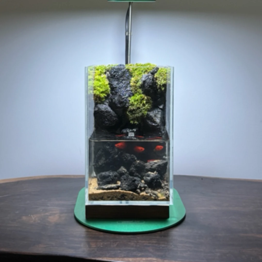 植酷【谧境】室内苔藓微景观 精致生态桌面景观 懒人缸 创意鱼缸