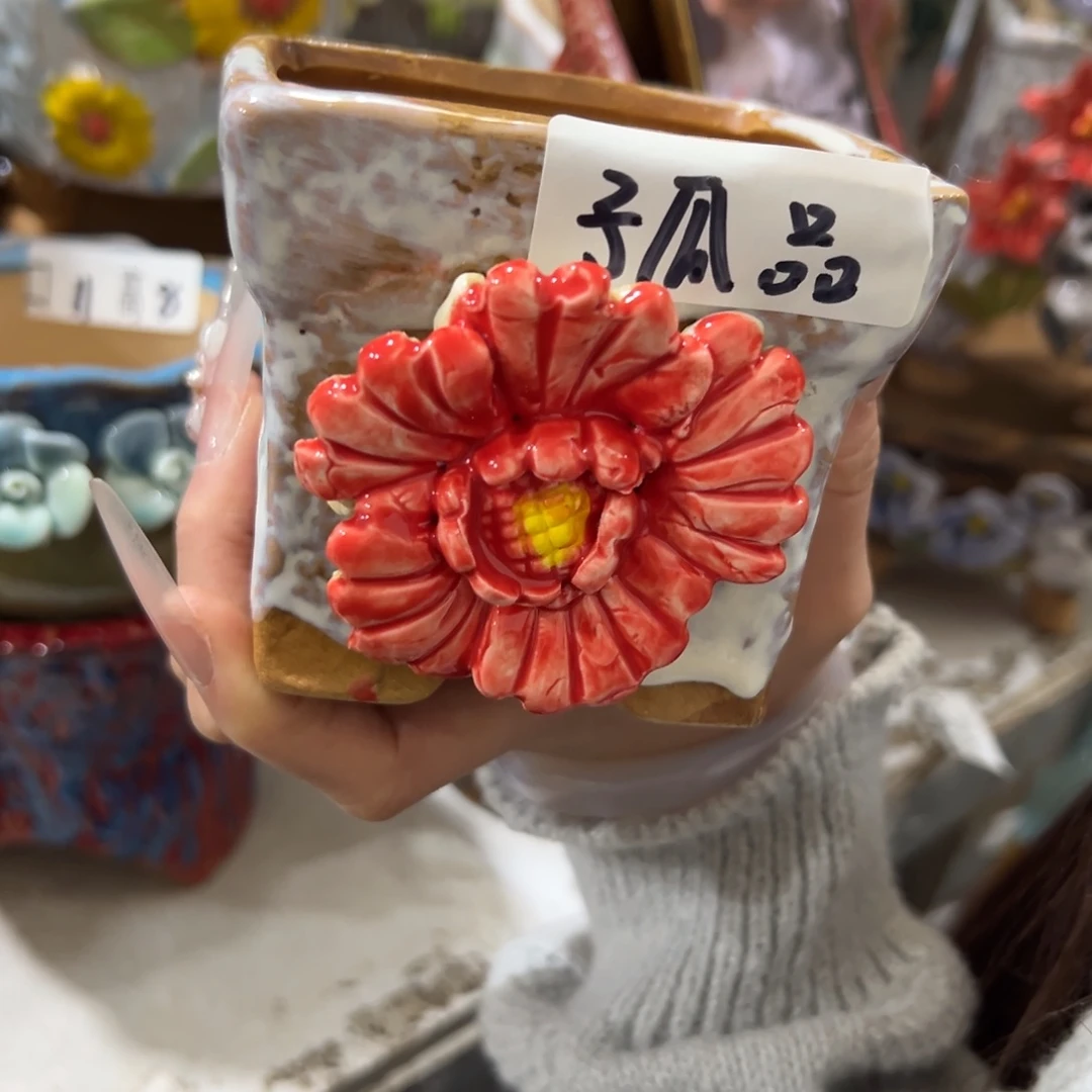 满20发多肉花盆秒拍秒退拉黑